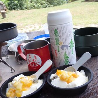 かき氷前なのに、デザートも🍨