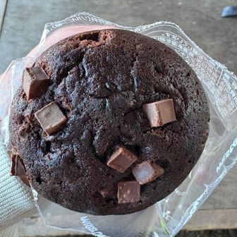 爆風なので、小屋で🛖