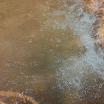 水は透明だったり光の加減で緑がかって