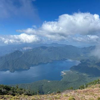 中禅寺湖、綺麗な湖ですね〜🤩
山々には雲がかかっていて同定難しかったです