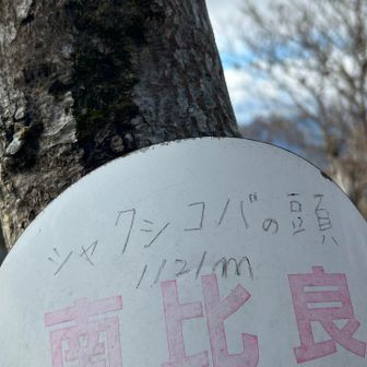 ついでにグレーピークも取りました
シャクシコバの頭　なんと質素な看板？😂