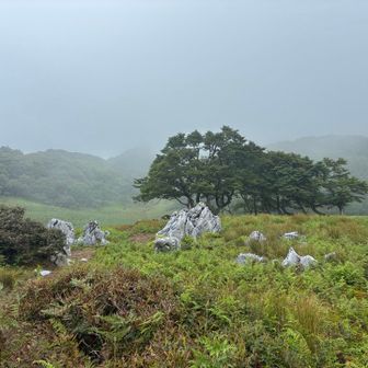 日本庭園
