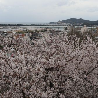 境内からの眺め