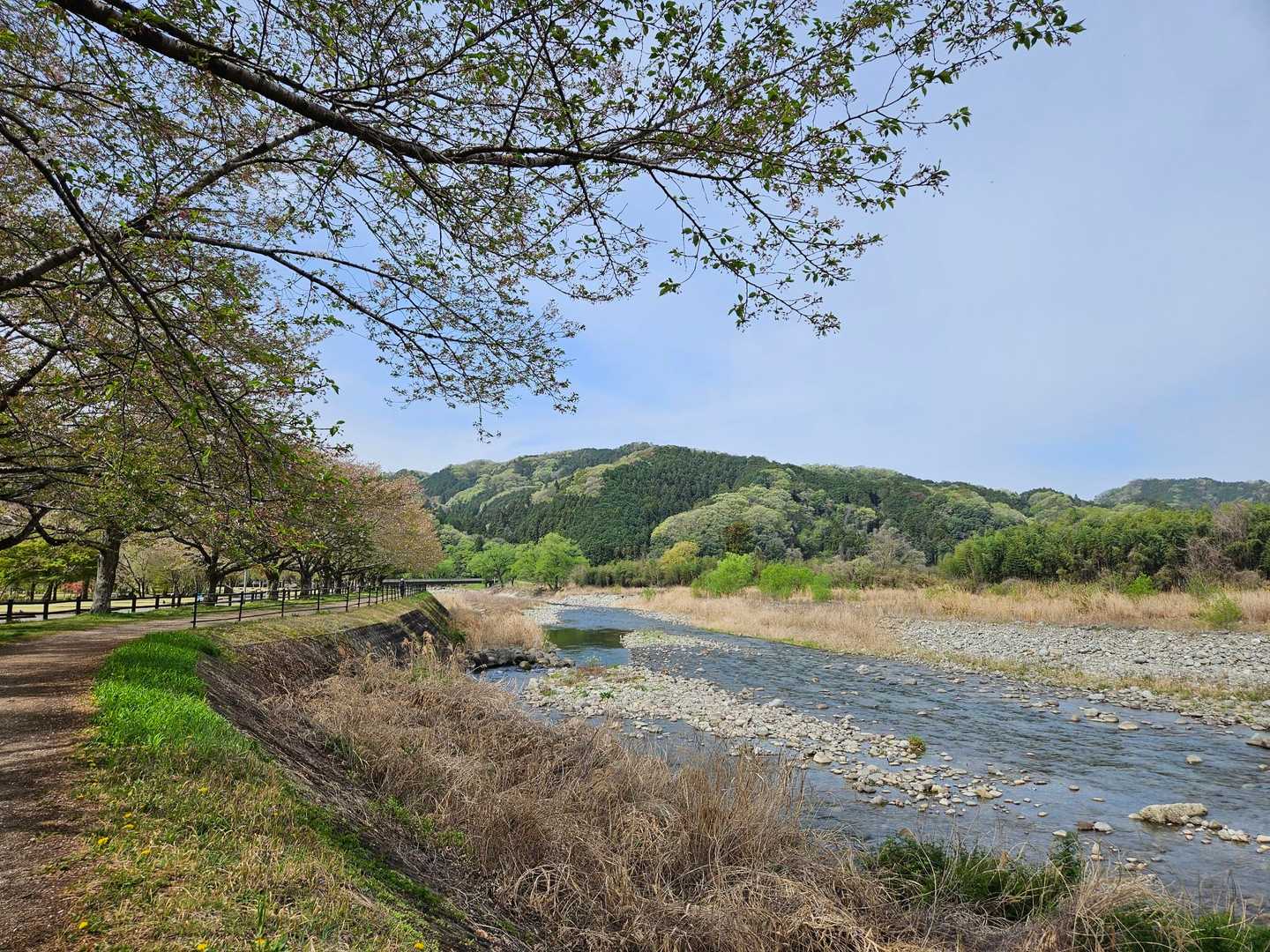 大芦川沿いを