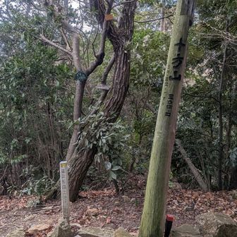 十方山の山頂。特に見どころなし。小倉山の方から回ってきた方が高低差もなく、楽だと思う。