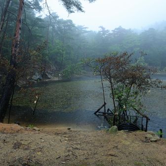 雨が強くなり、霧に包まれた「ささらが池」
しっかり産卵してね☺️
おつかれ山！