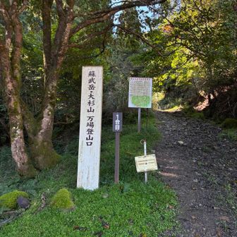 登山口