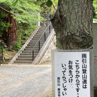 さぁ、帰りましょう。