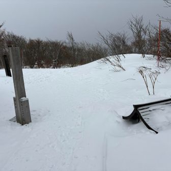 戻ってきたけど誰もいない🥲