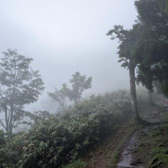 暫し休憩してると雨がきつくなってきた
予報通りだ
再びカッパ着て、再出発