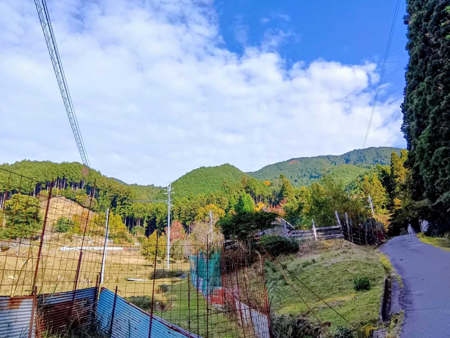 振り返ると音羽三山🗻