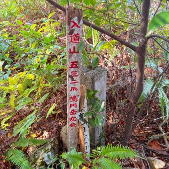 ヤレヤレ  入道山⛰️532m❗️

山頂は狭いが…