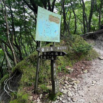 下山時間になるとハエがめっちゃ増えてた💦
