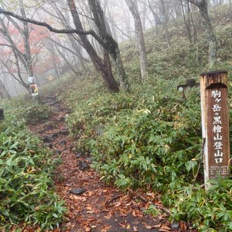 あっという間に登山口へ