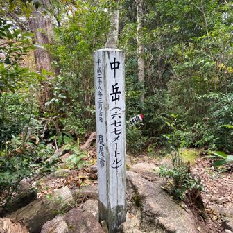 さんちょー②   展望なし