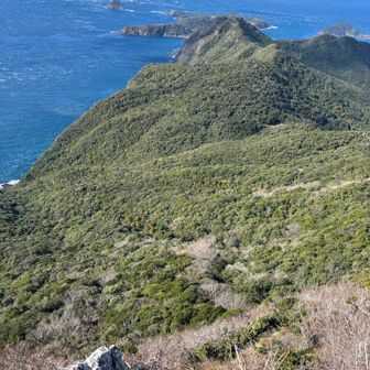 高度感もある。