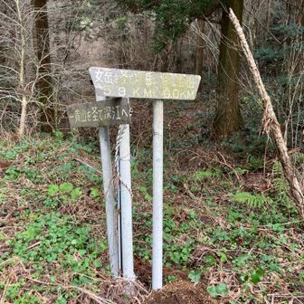 荒川峠にて。
ここが荒川峠だよ！という主張はございませんでした。