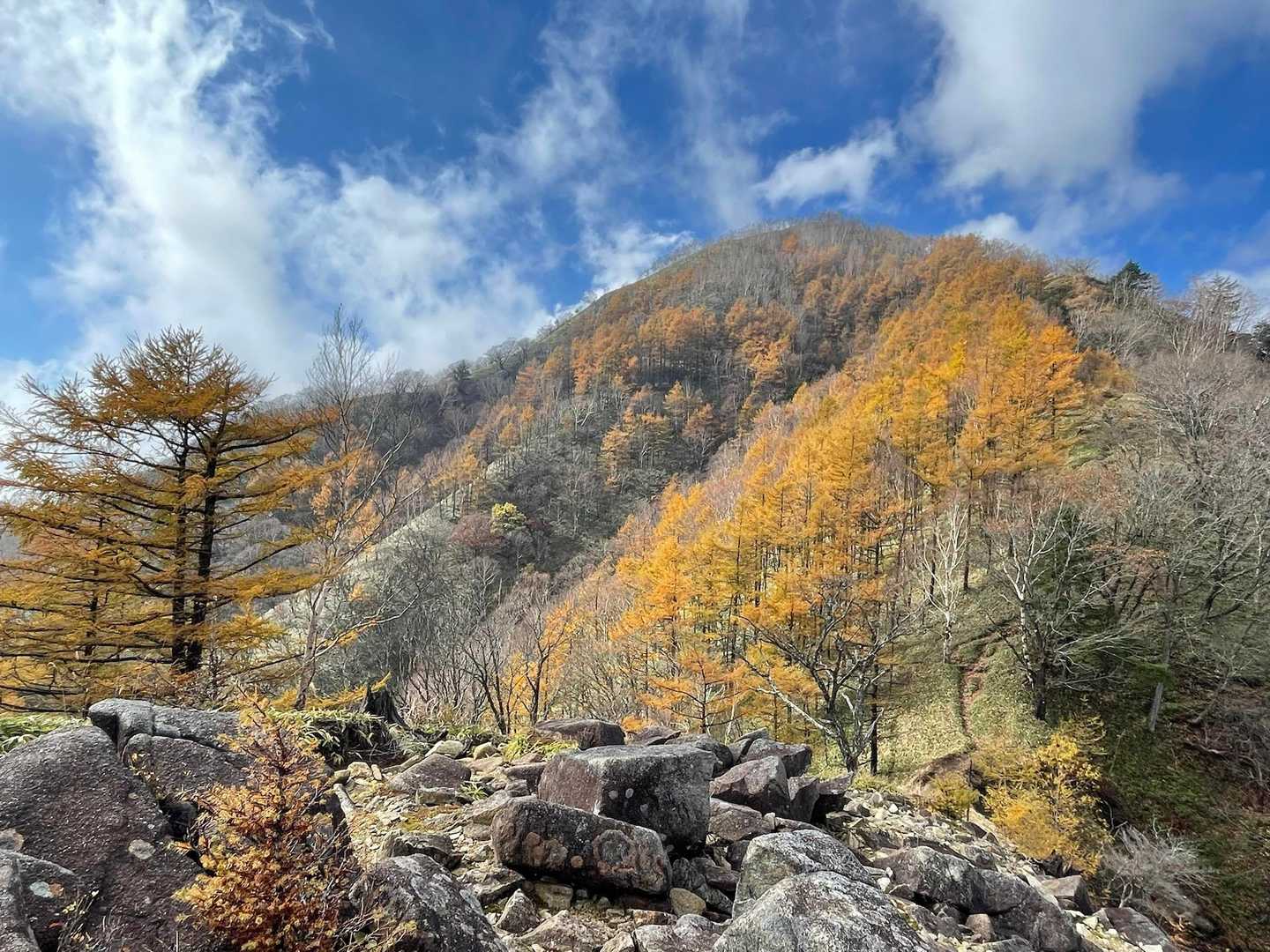 半月山-半月峠-中禅寺山-阿世潟峠-社山 往復コースの写真