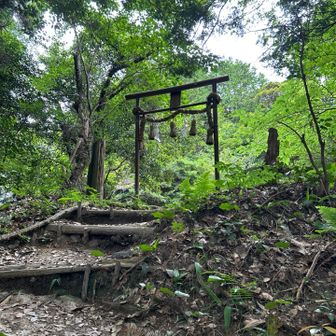登りきった鳥居の先の