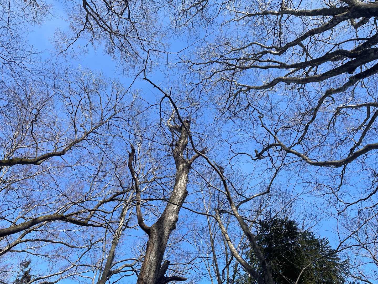 今日の空