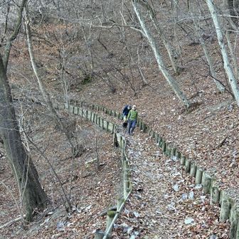 元気な先輩山友さん