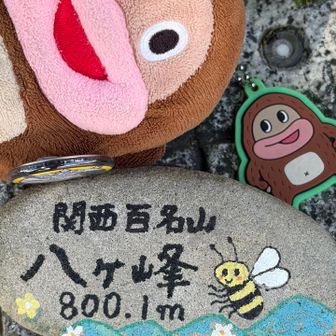 関西百名山✨800Ⓜ️
🦋のように舞い✨🐝のように刺す⚡️
byモハメド・アリ🐒