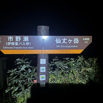 柏木駐車場から皆さん同じような時間にスタートだったので、ブラックスタートでも心強かったです。
駐車場は10台ちょっと停められるみたいですが、本日はスタート時点で4台でした。

仙丈ヶ岳まで8時間…なかなか見ない時間です😂