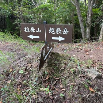 祖母山との分岐。
めっちゃ心地良い風がふいてて、しばらく座りこんで休憩。この風を家に持って帰りたい。