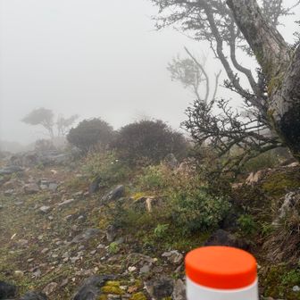 風が抜けるので山頂より少し下ってティータイム🫖
