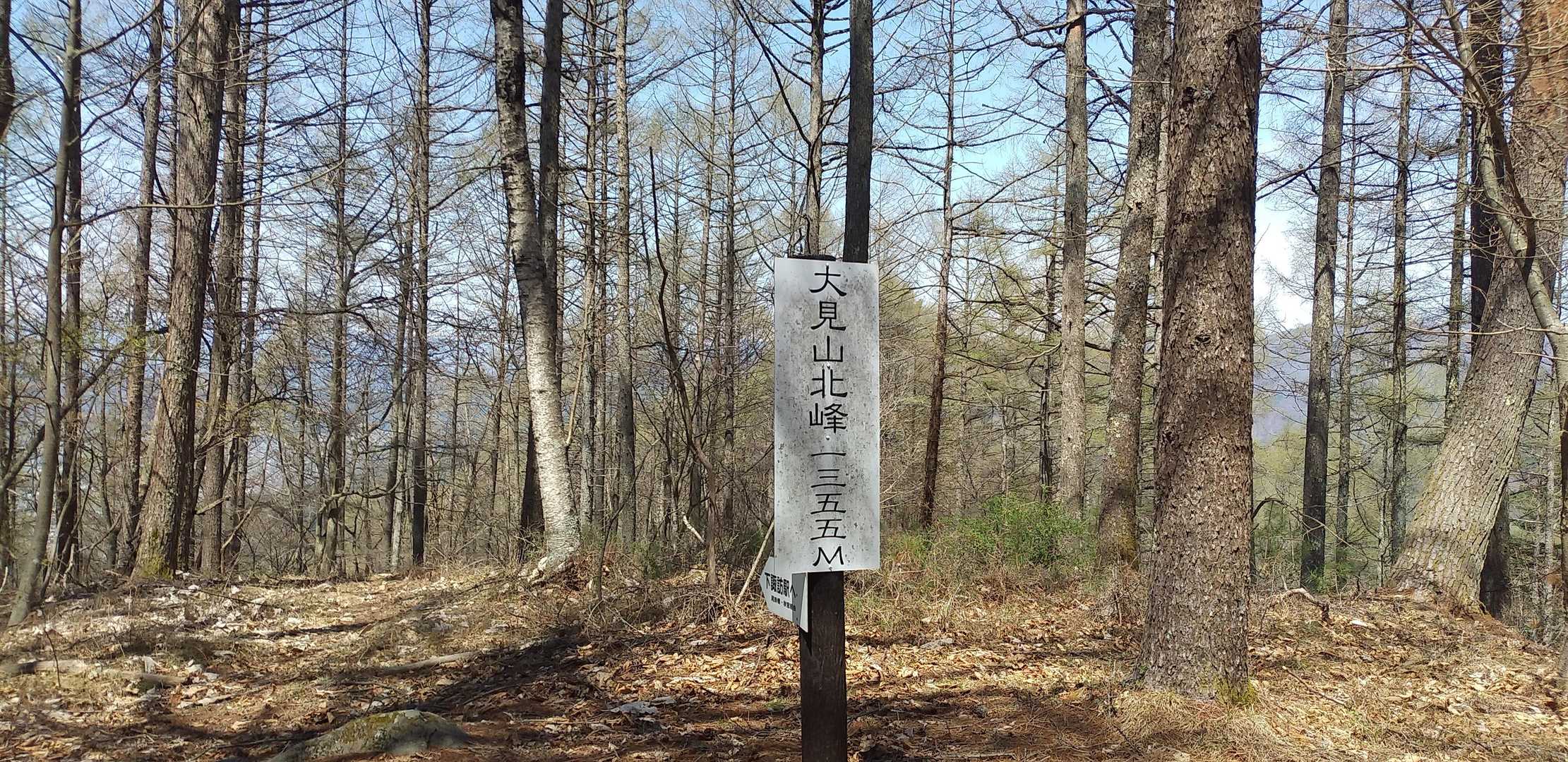 あっという間に
大見山北峰　到着🙌