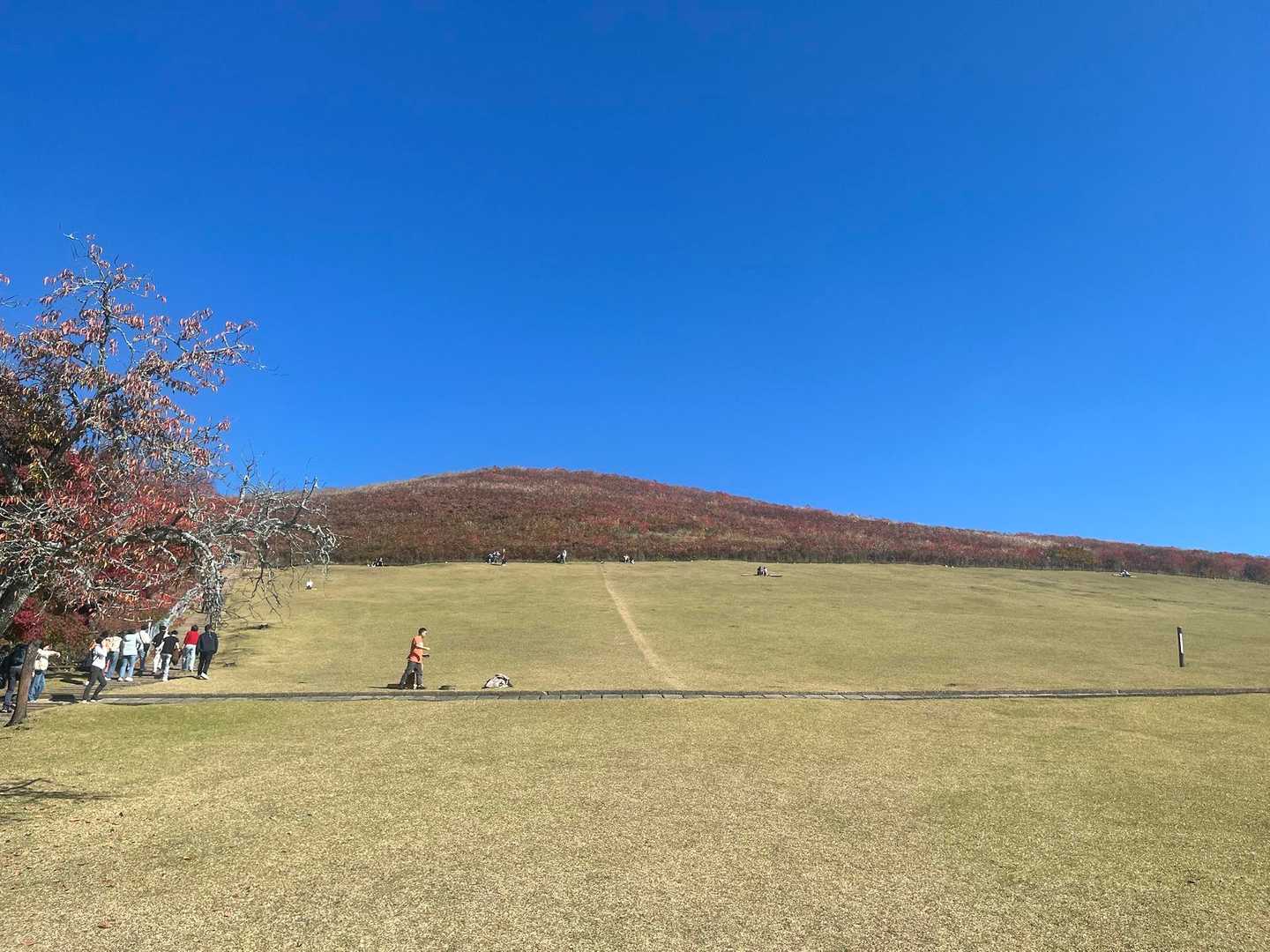 目指す若草山！