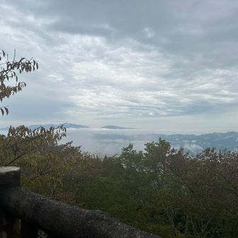 少しづつ明るくなって来ました⤴️