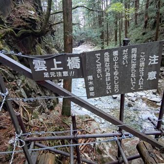 元のルートへ合流する橋です