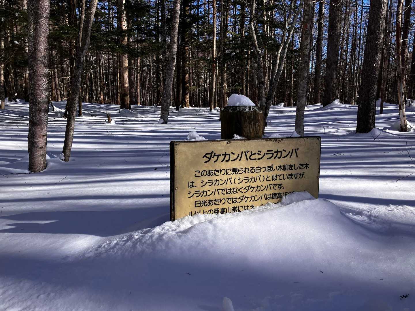 この心地良さ、また冬に来るしかない場所です。