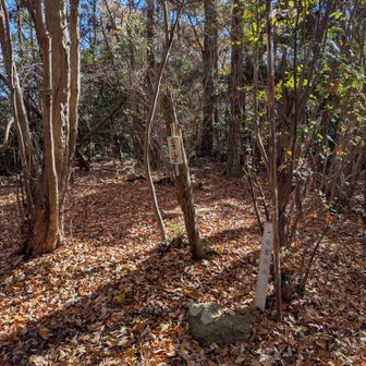古宝山ゲット👍４人の子宝に恵まれ、還暦を迎えたことに感謝🥳って字が違うやん🤣