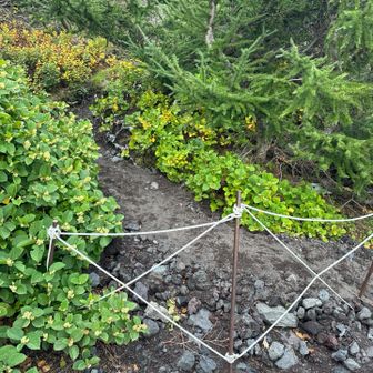 禁止になっていた場所の隣に、登れる場所があったみたい