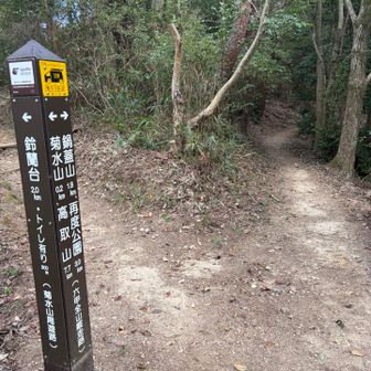 右に行く