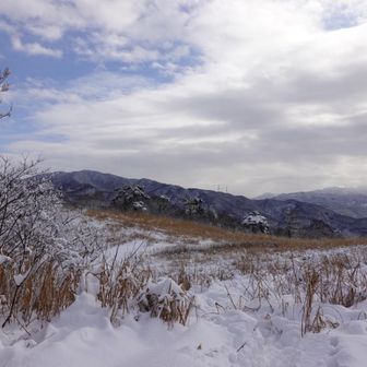 医王山見えてる
ビタル山に向かいます