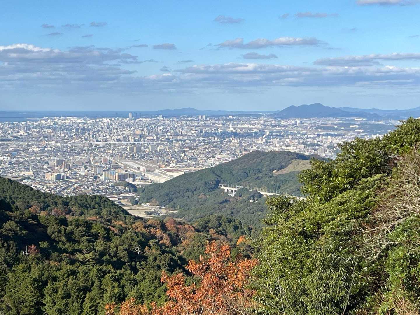 矢岳 往復コースの写真