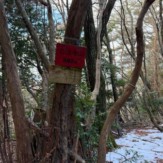 公法寺山380m。