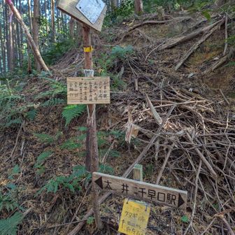 クヌギ峠を通過