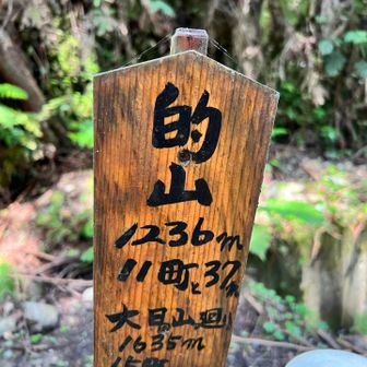 的山
