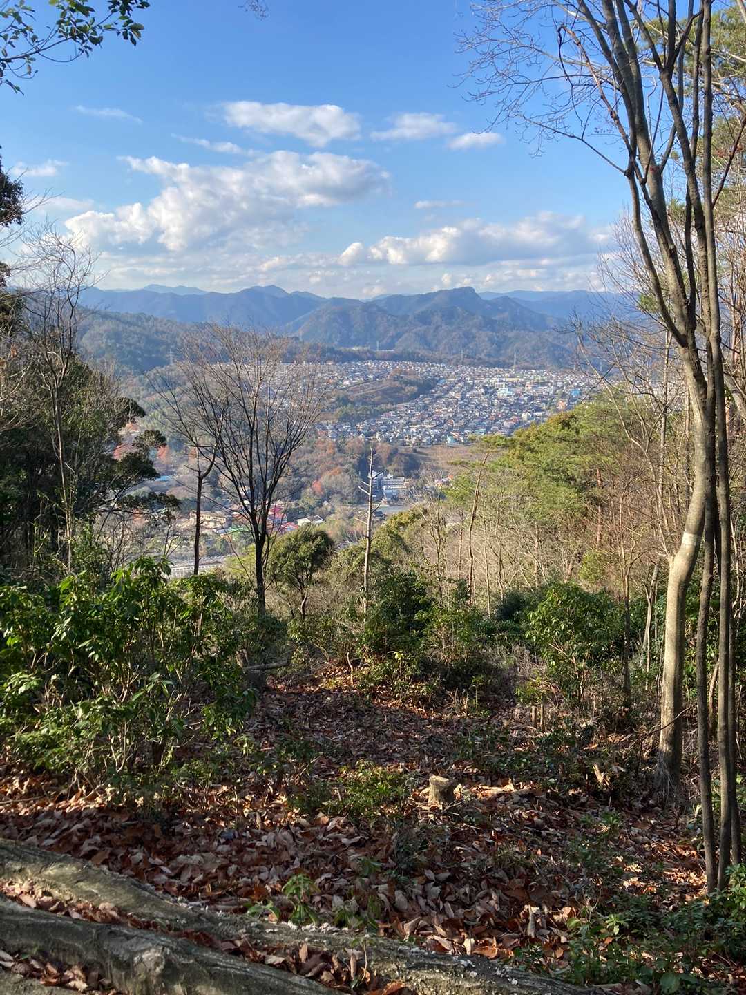 野登呂山 往復コースの写真