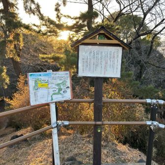 箱根山登頂。3回目。今度は桜の季節に来てみるか…？