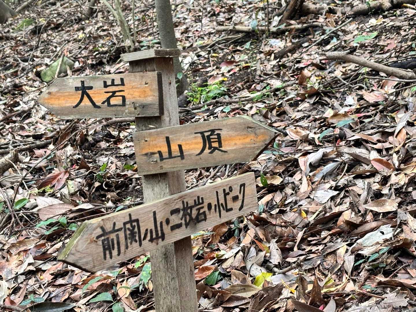 ヨッ。と、ここに来て、

