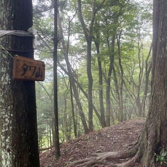 タワ山を通過して…