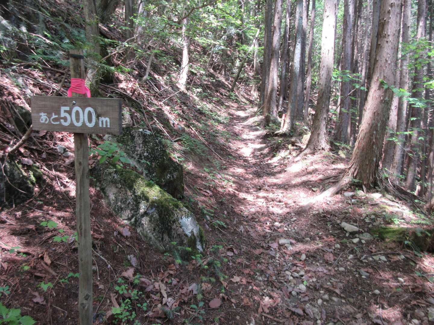 あと500m（1/3）