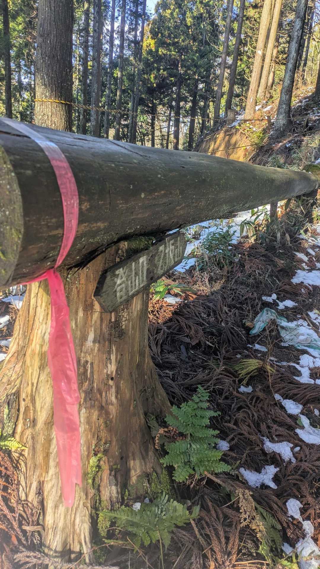 乙坂山 周回コースの写真