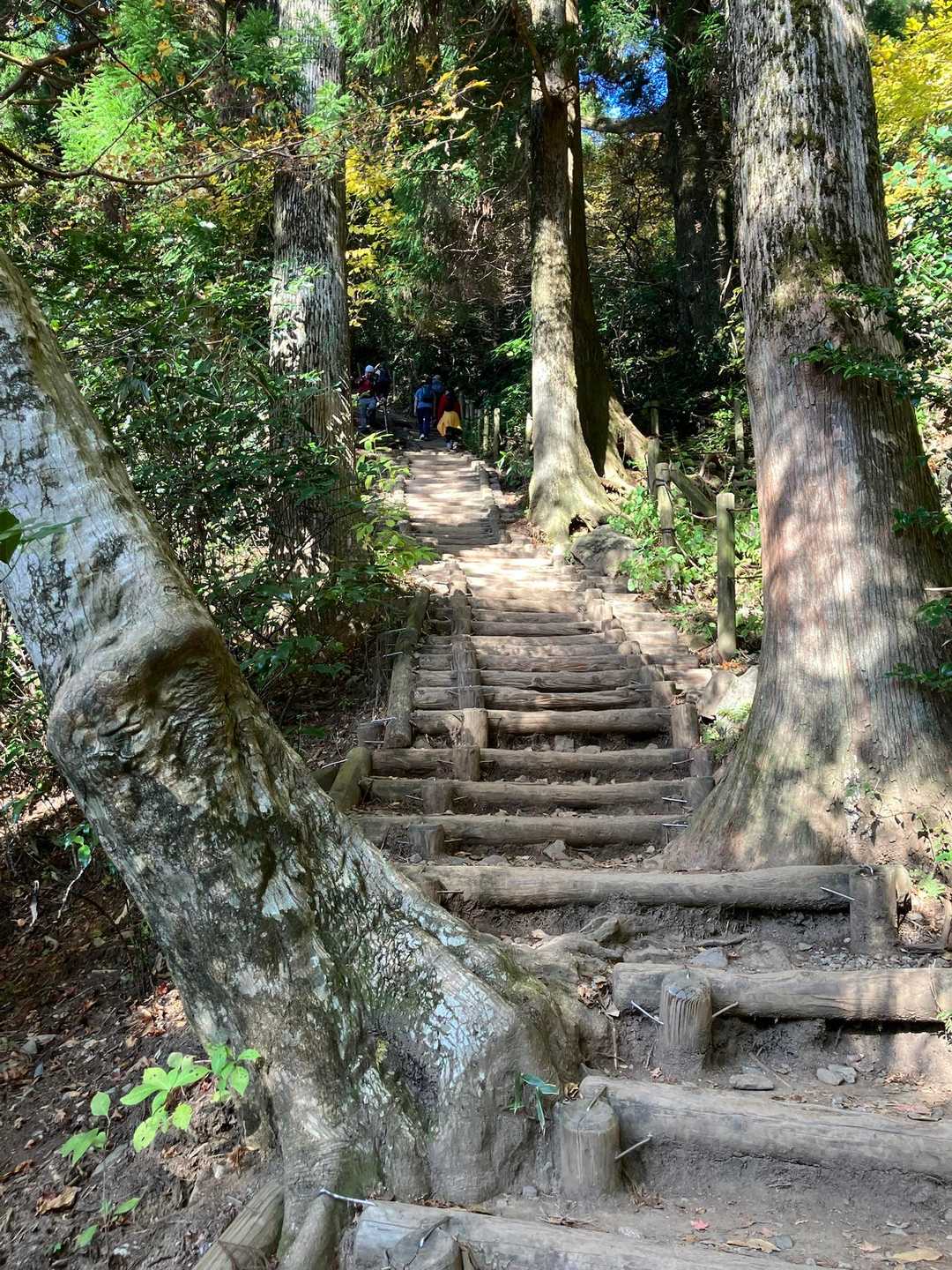 登山道をキレイに整備していただき、ありがとうございます😊