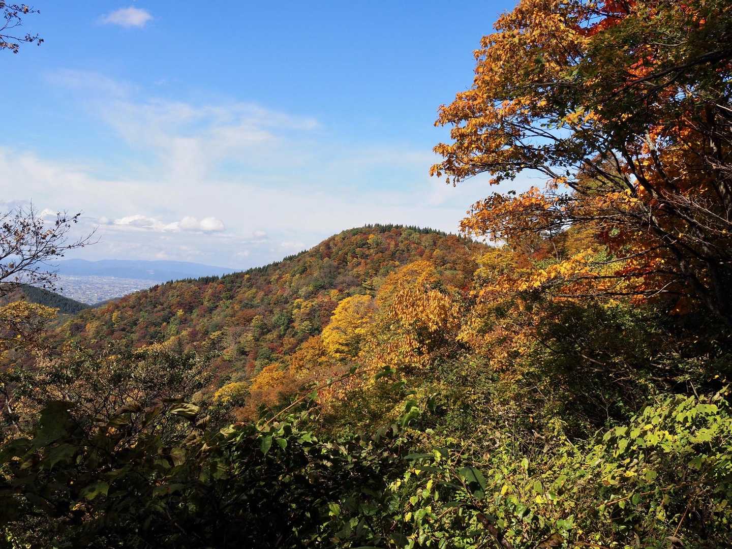 牛岳 周回コースの写真